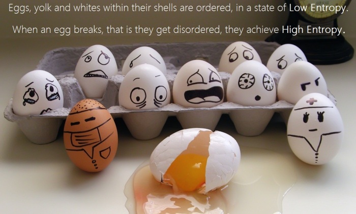 eggs_broken_funny_carton_falling_emotions_1280x800_68753